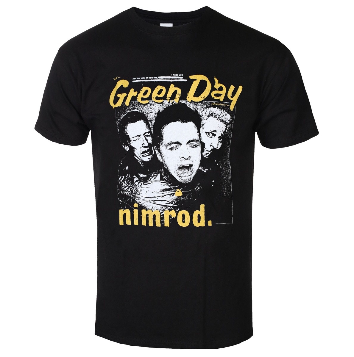 Band Tee Faded 90S - Футболка Green Day с эффектом потертости