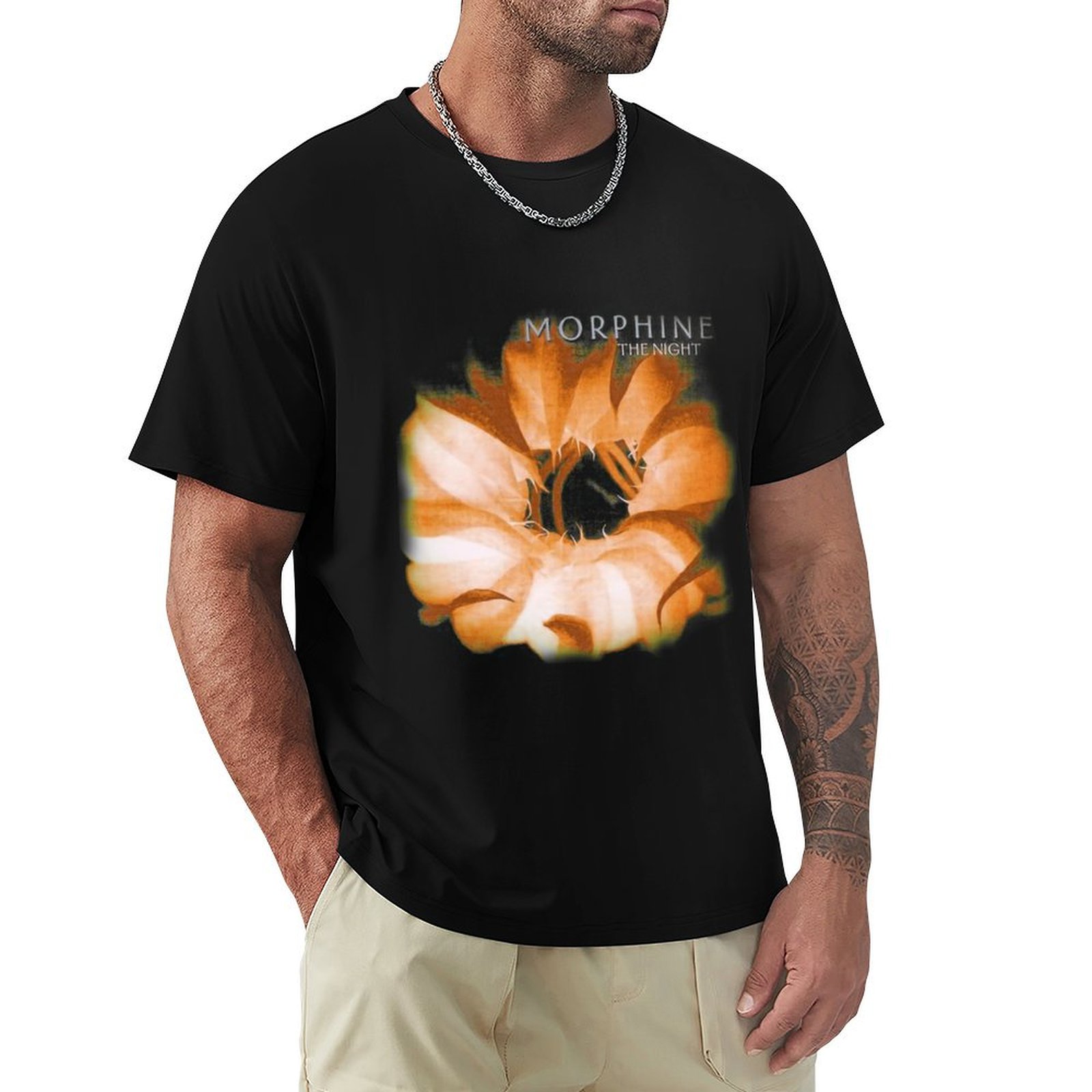 Обложка альбома винтажной рок- – обзор и цена Band Tee Faded 90S